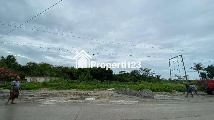 Tanah Maja - 2