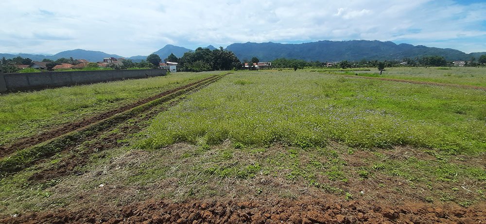 TANAH UNTUK PERUMAHAN ATAU PERMUKIMAN DI CIHAMPELAS BATUJAJAR - 7