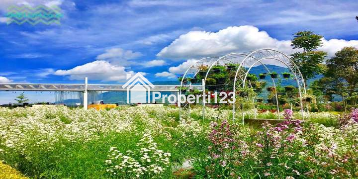 GLAMPING DAN RESTO DENGAN VIEW SPEKTAKULER DI LEMBANG BANDUNG BARAT - 7