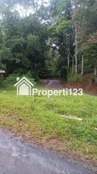 Dijual Tanah Kebun Produktif Pinggir Jalan - 5