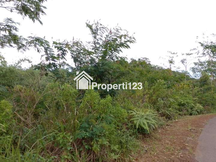 Dijual Tanah Kebun Produktif Pinggir Jalan - 4