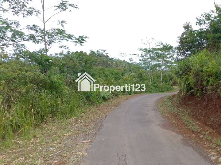 Dijual Tanah Kebun Produktif Pinggir Jalan - 2