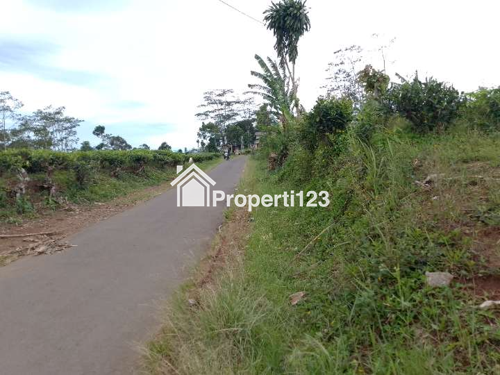 Dijual Tanah Kebun Produktif Pinggir Jalan - 6