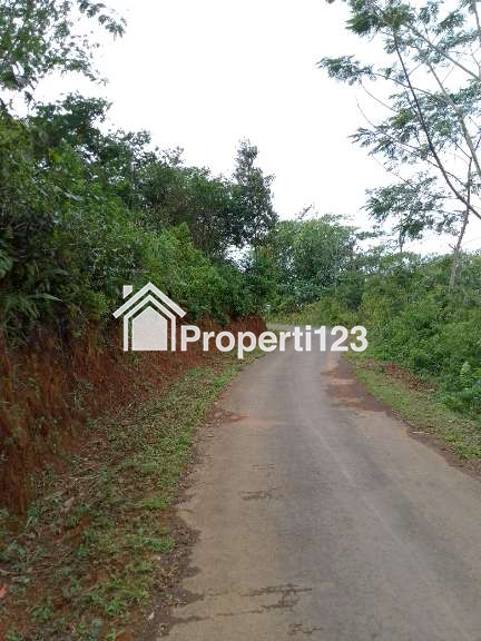 Dijual Tanah Kebun Produktif Pinggir Jalan - 3