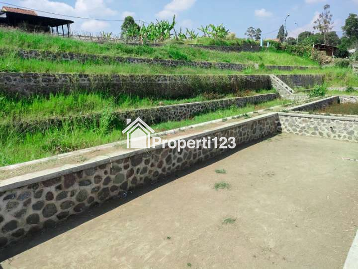 Dijual Tanah Investasi Ciwidey Jl Simpang Mekar Jaya Kab. Bandung - 2
