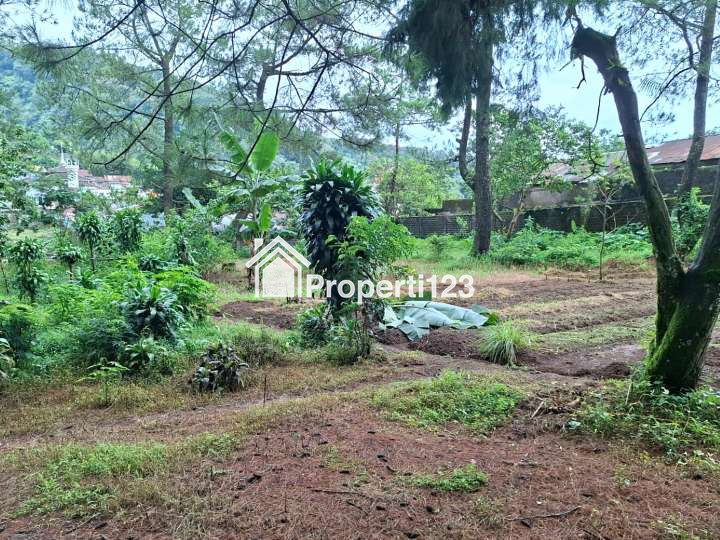 Villa Strategis Tanah Luas Jalan Raya Puncak Pass Cisarua Bogor - 5