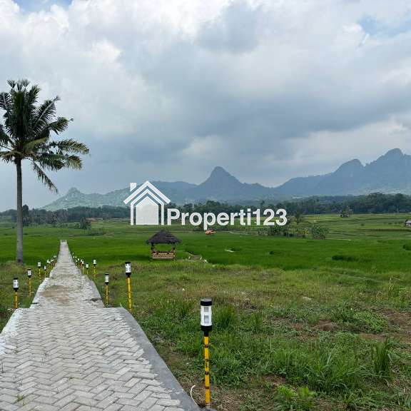 🏡 Raih Keuntungan Investasi Tanah Sawah Murah di Lokasi Strategis, Harga Hanya 520 Ribuan per Meter✨ - 7