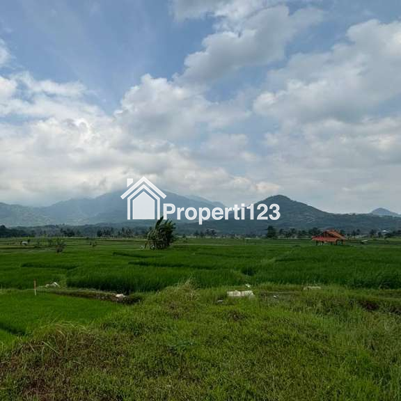 🏡 Raih Keuntungan Investasi Tanah Sawah Murah di Lokasi Strategis, Harga Hanya 520 Ribuan per Meter✨ - 4