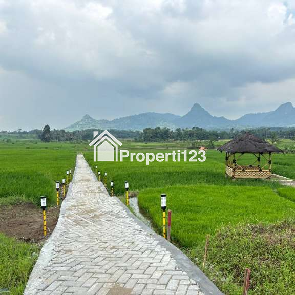 🏡 Raih Keuntungan Investasi Tanah Sawah Murah di Lokasi Strategis, Harga Hanya 520 Ribuan per Meter✨ - 6