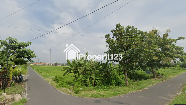 Tanah Pekarangan Strategis Mangku jalan Utama Cocok untuk Perumahan - 5