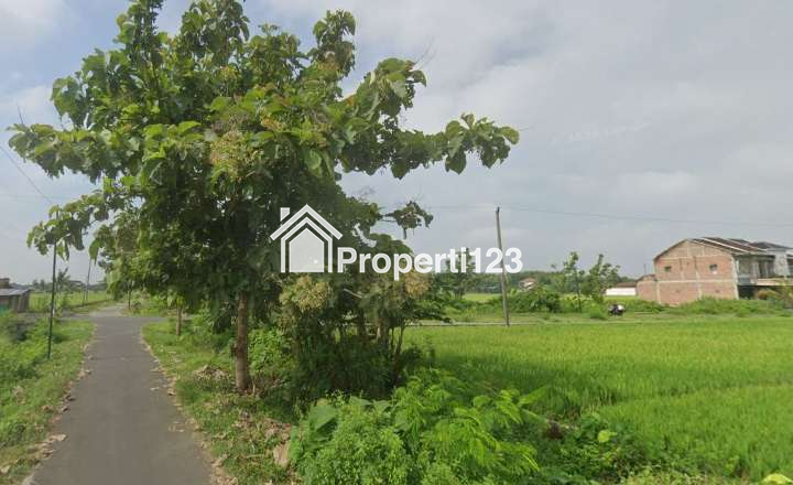 Tanah Pekarangan Strategis Mangku jalan Utama Cocok untuk Perumahan - 3