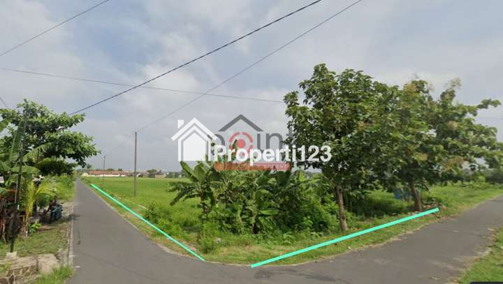 Tanah Pekarangan Strategis Mangku jalan Utama Cocok untuk Perumahan - 2