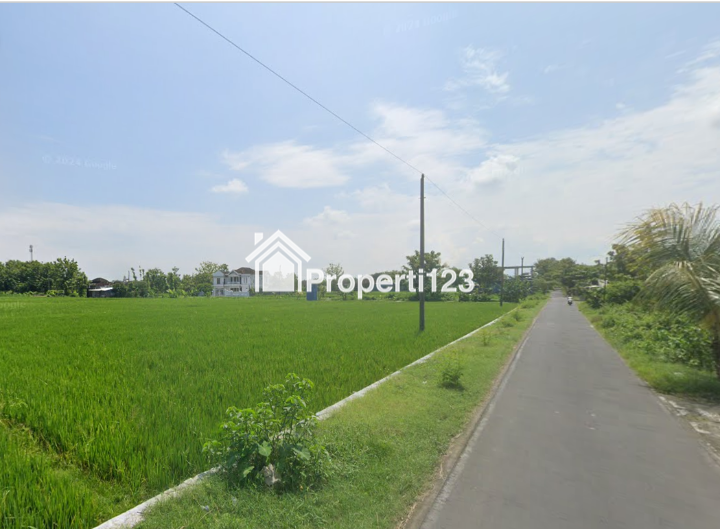 Tanah Pekarangan Strategis Mangku jalan Utama Cocok untuk Perumahan - 4