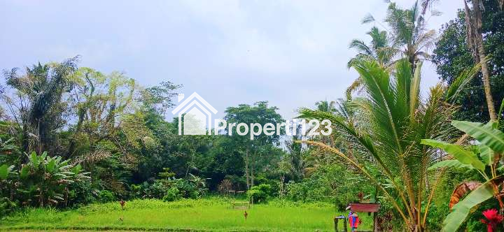 Dijual tanah 2000 m2 di Pupuan Tegallalang Gianyar Bali - 3