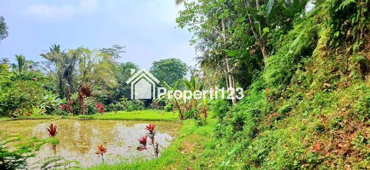 Dijual tanah 2000 m2 di Pupuan Tegallalang Gianyar Bali - 2