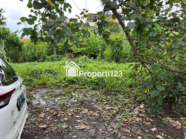 Dijual Tanah di Canggu 300m2 - 2