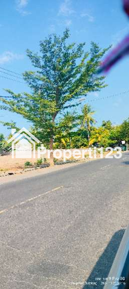 2000m² Beachfront Pinggir Jalan Raya Utama Singaraja Kubutambahan Buleleng Bali - 3