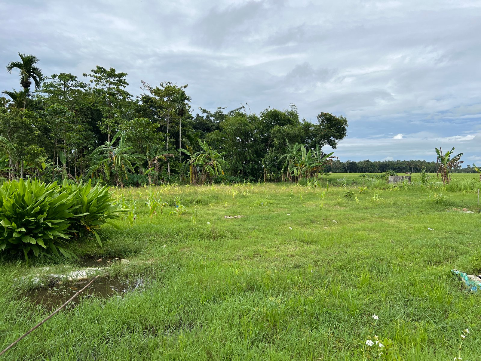 Dijual Tanah Sobang, Banten 4650 m2 Lokasi Strategis - 11