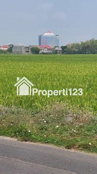 Kavling strategis, Sidorejo Jombor Sukoharjo, dekat Univet dan Gelora Merdeka Sukoharjo - 4