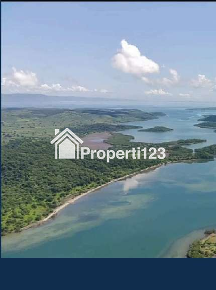 Dijual tanah 118 Hektar di Labuhan Kuris Lape Sumbawa Nusa Tenggara Barat - 3