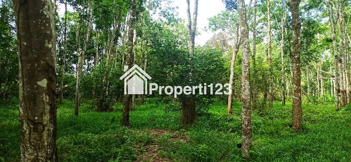 BU - Jual Tanah Murah dan Cepat Tanpa Perantara, Lokasi Strategis di Sumatera Selatan - 3