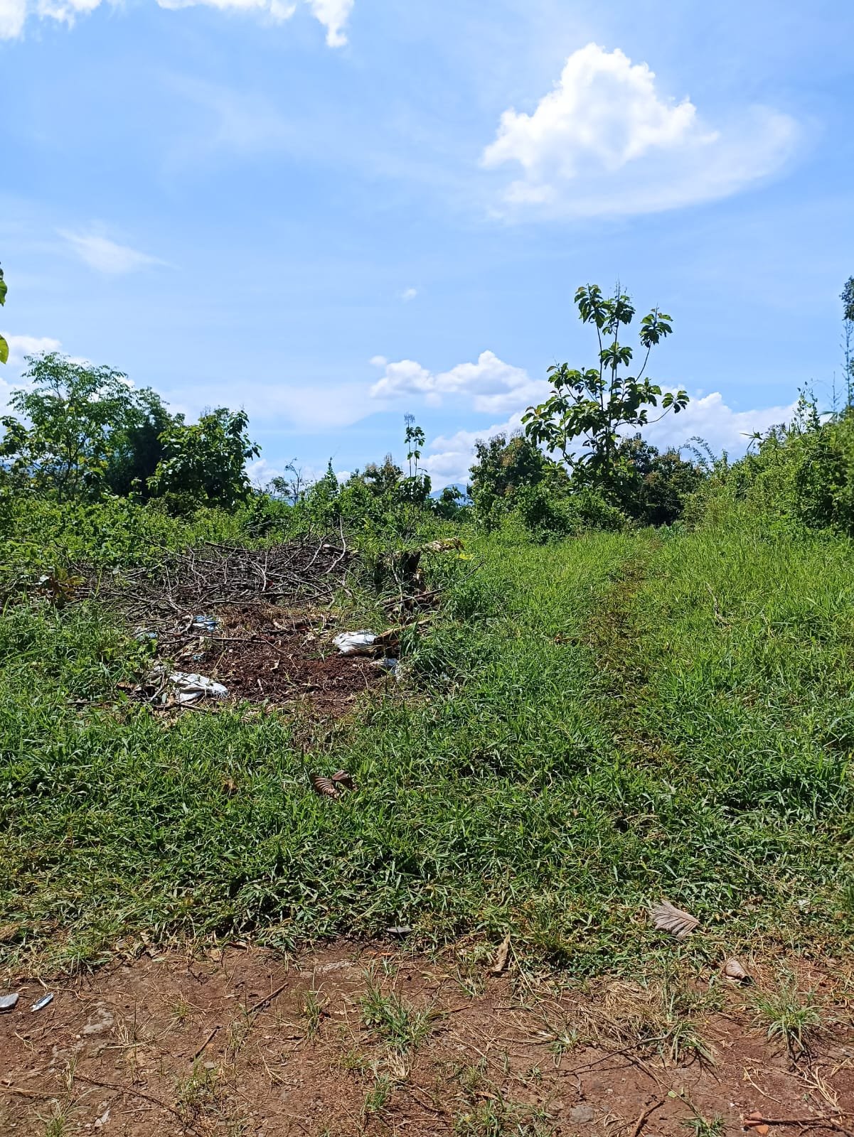 DIJUAL TANAH KEBUN MURAH LEUWIGOONG GARUT - 6