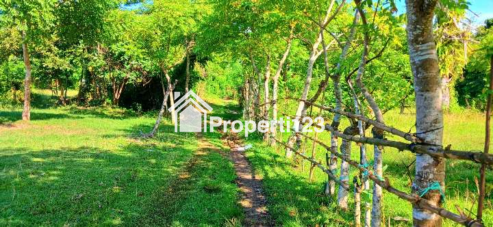 Dijual tanah 14,6 are di Pengambengan Negara Jembrana Bali - 3
