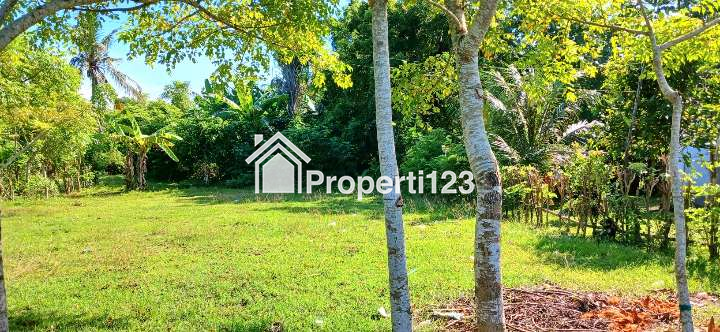 Dijual tanah 14,6 are di Pengambengan Negara Jembrana Bali - 5