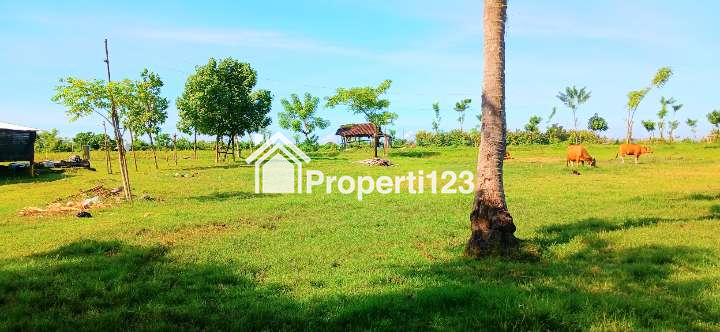 Dijual tanah 14,6 are di Pengambengan Negara Jembrana Bali - 4