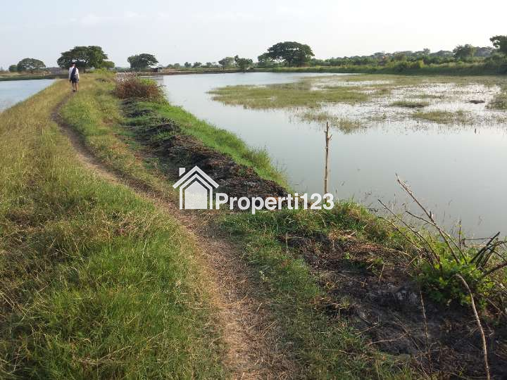 Tanah Tambak Ujung Pangkah Gresik - 5