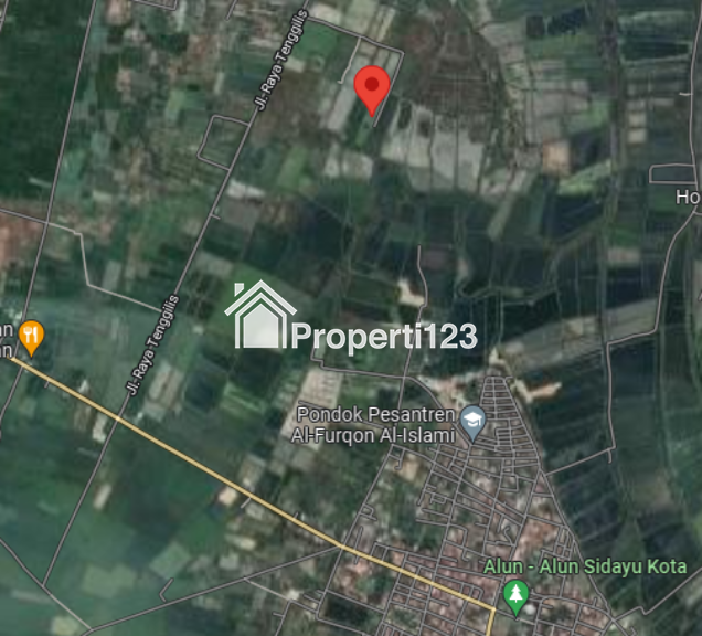 Tanah Tambak Ujung Pangkah Gresik - 3