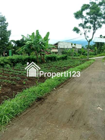 TANAH UNTUK PERUMAHAN DAN PERMUKIMAN DEKAT GERBANG TOL PAMULIHAN TANJUNGSARI SUMEDANG - 3