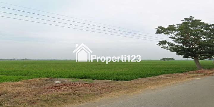 TANAH UNTUK INVESTASI DI KAWASAN BERKEMBANG DEKAT GT. SUMBERJAYA, CIPALI-MAJALENGKA - 4