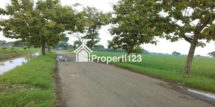 TANAH UNTUK INVESTASI DI KAWASAN BERKEMBANG DEKAT GT. SUMBERJAYA, CIPALI-MAJALENGKA - 7