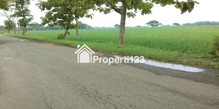 TANAH UNTUK INVESTASI DI KAWASAN BERKEMBANG DEKAT GT. SUMBERJAYA, CIPALI-MAJALENGKA - 8