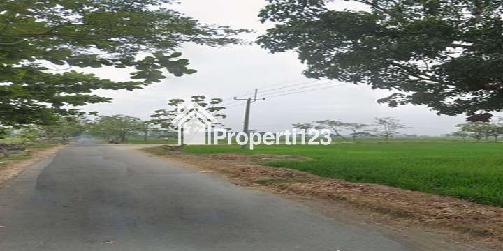 TANAH UNTUK INVESTASI DI KAWASAN BERKEMBANG DEKAT GT. SUMBERJAYA, CIPALI-MAJALENGKA - 5