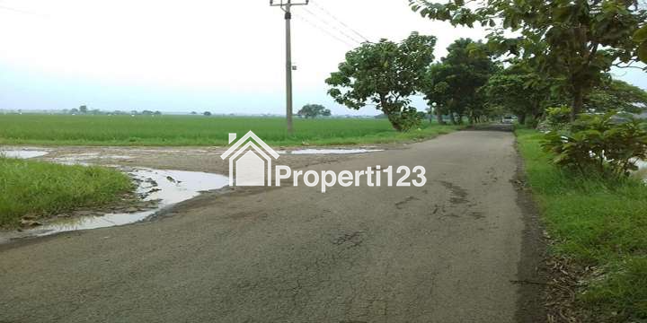 TANAH UNTUK INVESTASI DI KAWASAN BERKEMBANG DEKAT GT. SUMBERJAYA, CIPALI-MAJALENGKA - 6