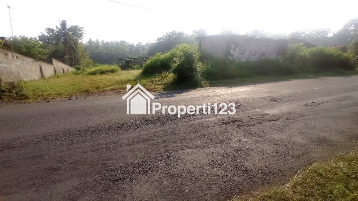Tanah Strategis Tepi Jalan kelas II di Pengasih dekat Kota Wates Kulonprogo Yogyakarta - 6