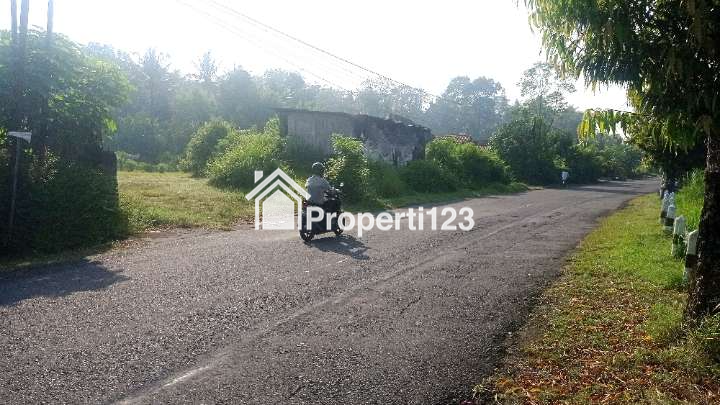 Tanah Strategis Tepi Jalan kelas II di Pengasih dekat Kota Wates Kulonprogo Yogyakarta - 3