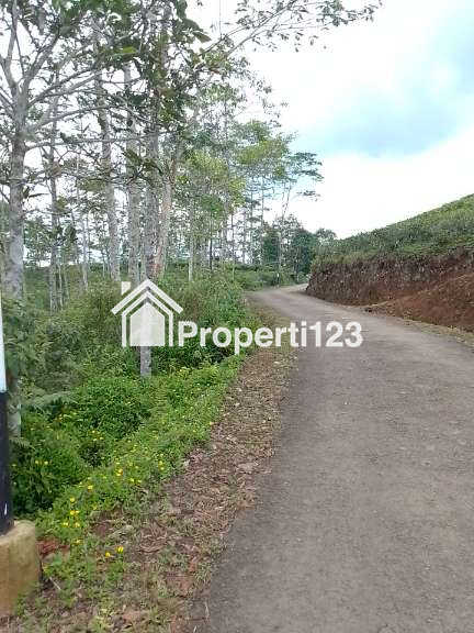 Dijual Tanah Kebun Produktif dan strategis pinggir jalan - 3