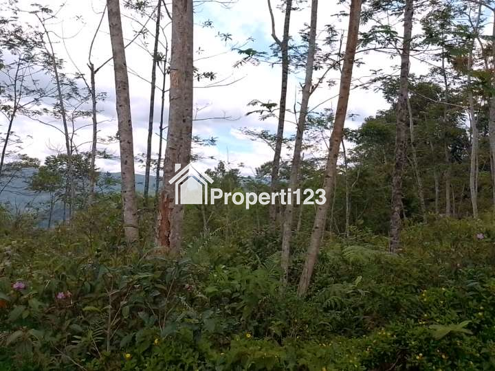 Dijual Tanah Kebun Produktif dan strategis pinggir jalan - 4
