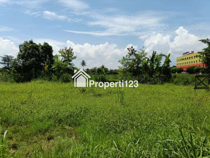 Tanah Luas di Lokasi Strategis di Cianjur Cocok Dibuat Perumahan - 2