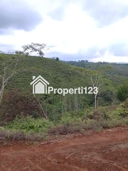 Dijual Tanah Kebun Produktif dan strategis pinggir jalan raya - 4