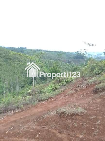 Dijual Tanah Kebun Produktif dan strategis pinggir jalan raya - 3