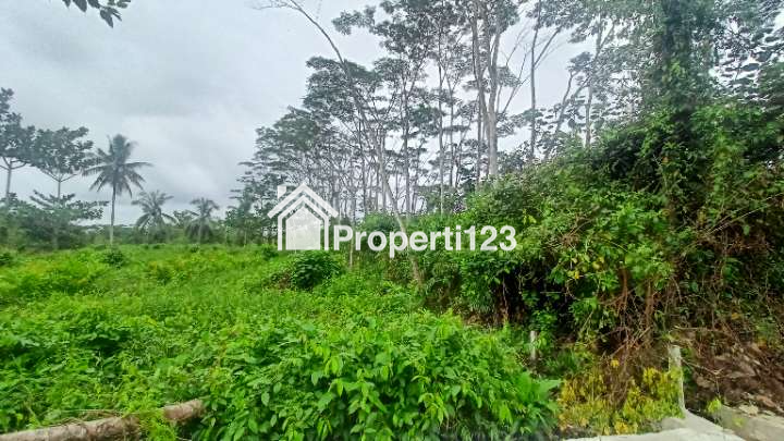 TANAH PINGGIR JALAN & SUNGAI KEC.ANGGANA - 2