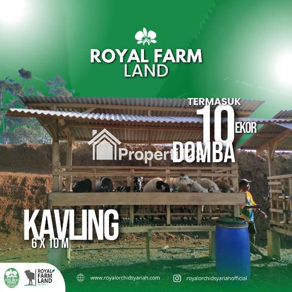 KAVLING LOYAL FARM LAND CIWIDEY - 2