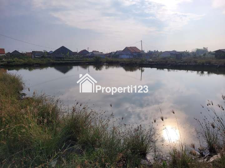 TERMURAH !! Disewakan Tambak Pertama untuk usaha di Blendung - Pemalang (NEGO) - 2