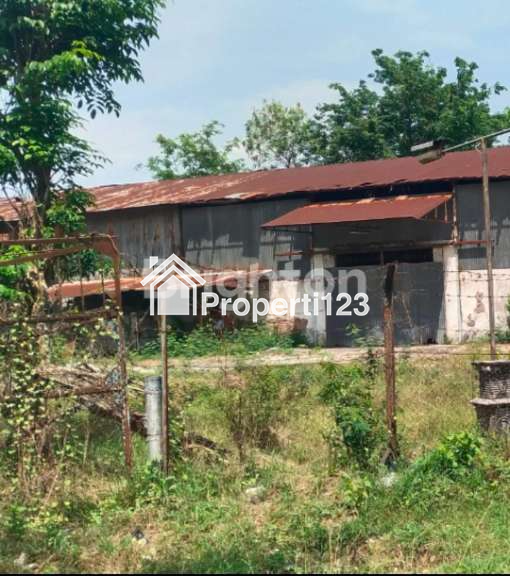 TURUN  6M HARGA JUAL Ex PABRIK KALSIUM /GUDANG MADIUN - 3