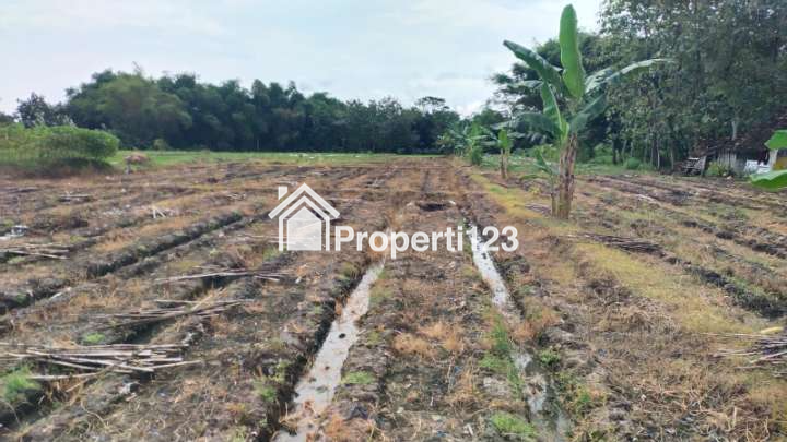 JUAL RUMAH + TANAH TENGAH KOTA CARUBAN - MADIUN, - 2