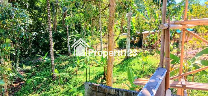 Rumah Leasehold Di Selemadeg Tabanan Bali - 5